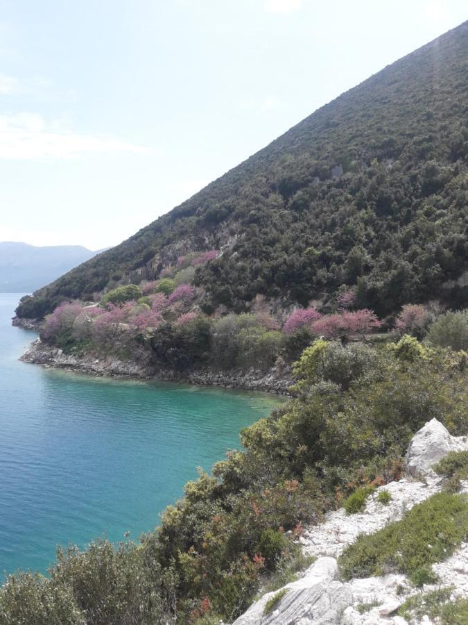 Apartament Gloria&Mitati Orikum Εξωτερικό φωτογραφία
